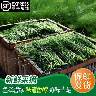 ��S���]���������rɳ�[�F���خaҰ�[Ұ�˳��˛��衾���İ��r��