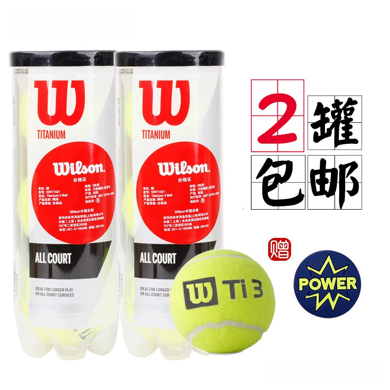 Теннисный мяч Wilson, использовался на Shanghai Masters, US Open и French Open, профессиональный тренировочный