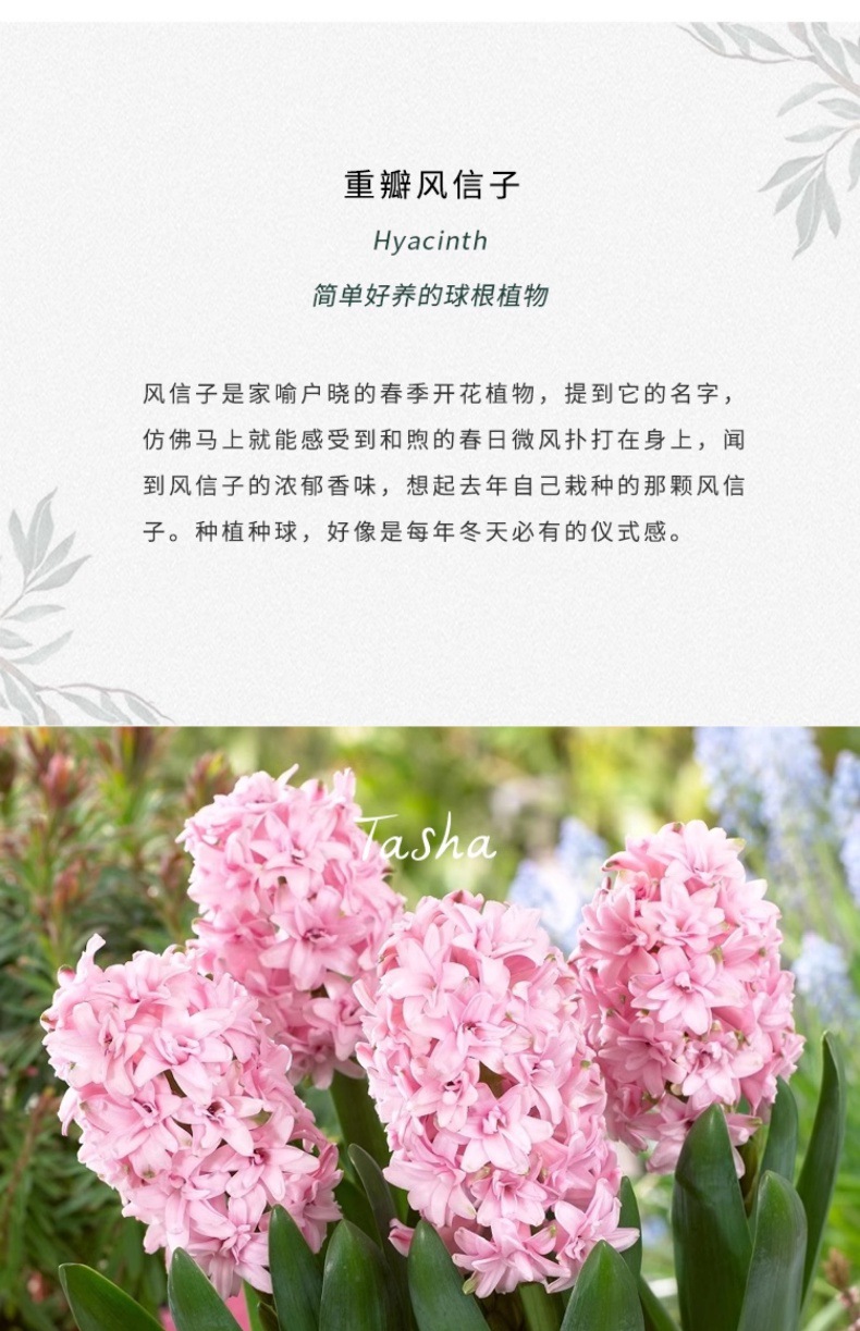 YJH_一键复制_20240722221433