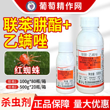 ���� ���x 45%������&middot;���\����٘�t֩���x���p�����x���\��