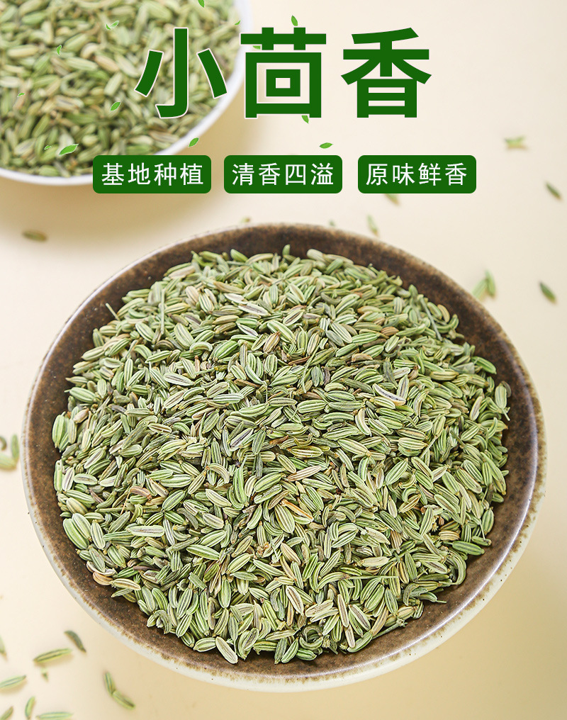 Fennel Seed (Foeniculum vulgare) — Dried Food-Herb Spice for Braising & Tea, 500g Bulk key features