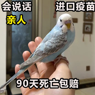 �����B��Ƥ�W�^һ�����B���fԒ�����B����С�ͺ��B����С�B��ճ��
