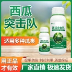 西瓜突击队西瓜专用保花保果增甜膨大素叶面肥防裂瓜烂根死苗正品