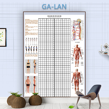 体态评估表墙贴健身房体测网格纸瑜伽馆私教姿势体位背景墙体姿图