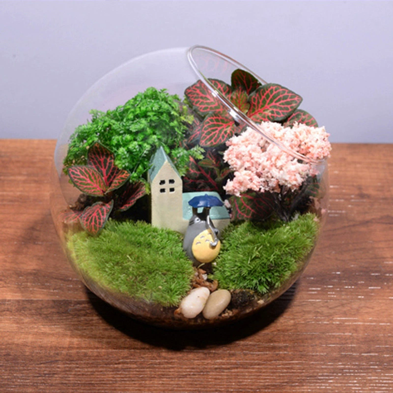 Креативный подарок мох микро пейзаж экологическая бутылка костюм 13 косая бутылка подарок Семейные ремесла украшения