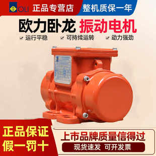 J80 Vibrating Screen Vibrator 020103Mve380V Shaoxing Wall Wulong Vibration Three-Phase Vibration Motor European G3
