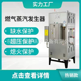 蒸汽发生器;燃气锅炉