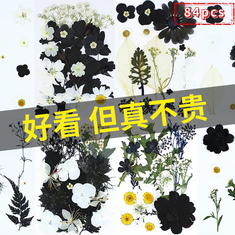 84pcs黑白干花压花材料包亚马逊热卖跨境Pressed Flower押花植物