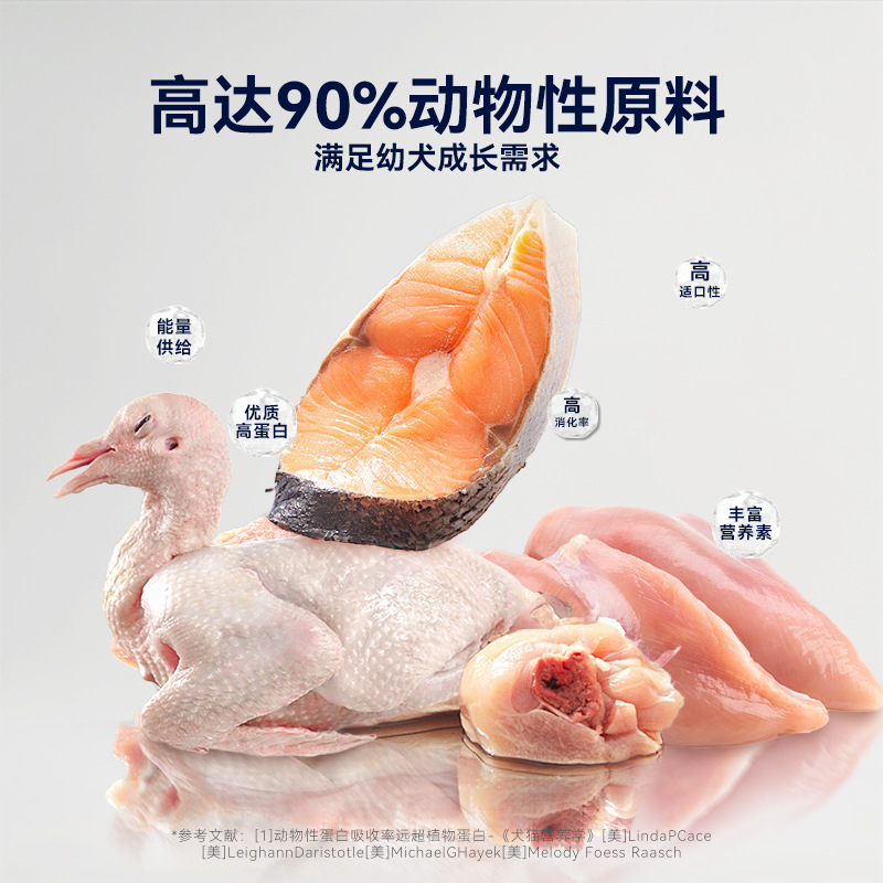 Carne fresca para perros hippie, comida para perros sin grano, comida para perros para cachorros, Teddy Corky, comida para perros pequeños, comida para mascotas de pelo dorado.