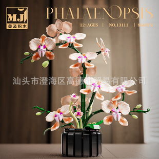 �羳����13033-13069���Z���Էeľ��ƴ�M�bŮ���������[���ͶY