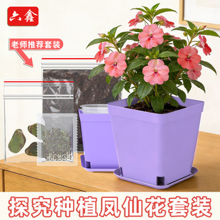 �Nֲ�P�ɻ����b�P�ɻ���һ��ֲ��N��С�W�ƌW���꼉�Ƽ�С����