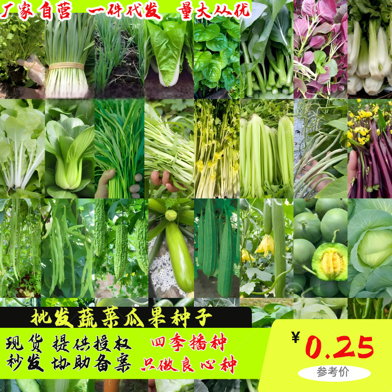云仓源头厂家批发四季蔬菜种子精品菜籽一百多款供应链种子一件发