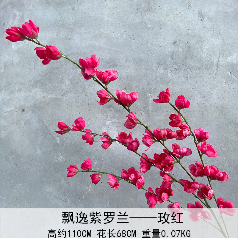 Elegante violeta rosa roja