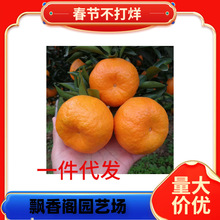 ���Ә���޽��M��Ě�ȼt��Ѫ���ӹ������������Ӑ��¹�����