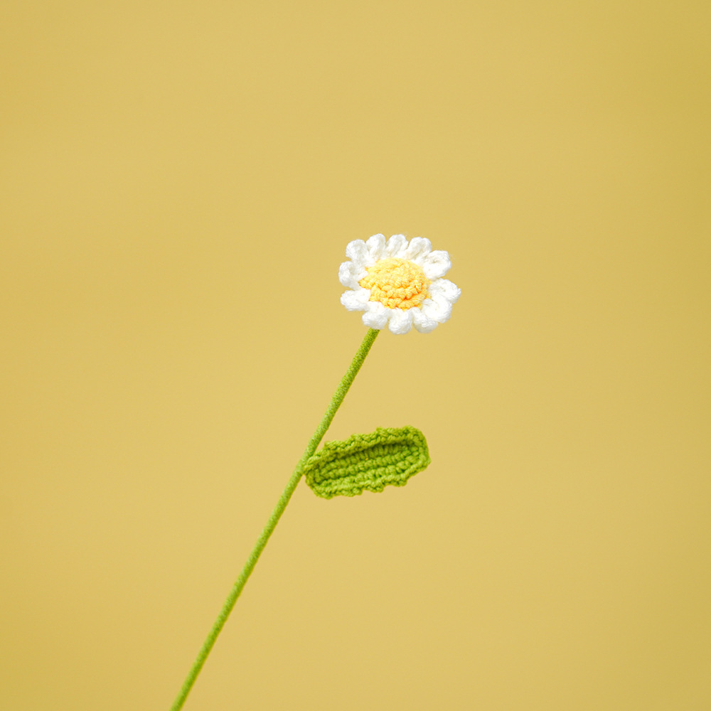 Acabado hecho a mano ganchillo lana tejida Margarita ramo creativo flor eterna regalo del Día de San Valentín novias regalo