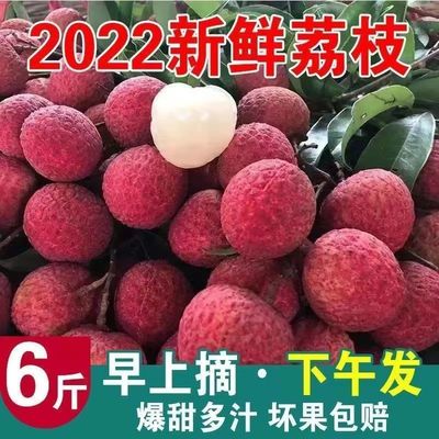 荔枝批发新鲜应当季水果非妃子笑桂味白糖罂挂绿黑叶王批发工厂厂|ms