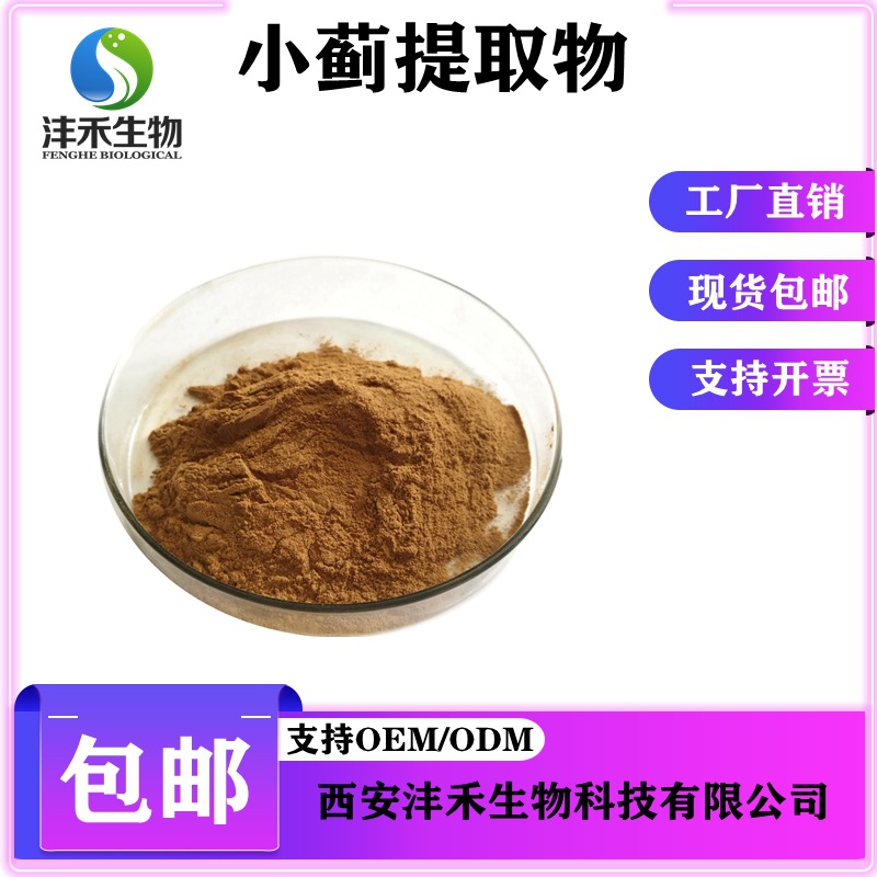 小蓟提取物10:1 小蓟粉  靑刺蓟提取物 沣禾供应 现货包邮