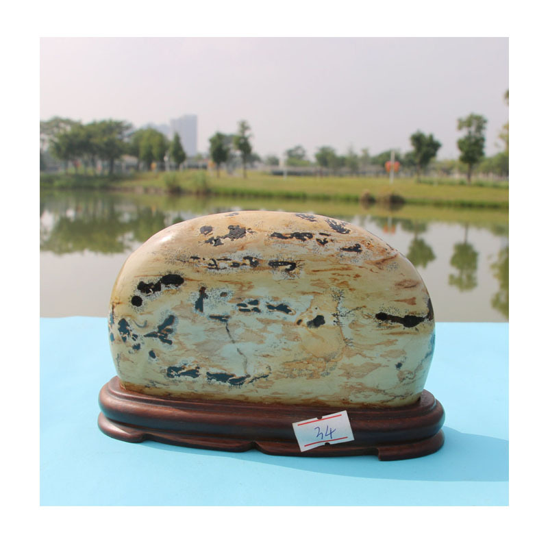 ɽȻʯҾװΣԭֹͥԺڼ