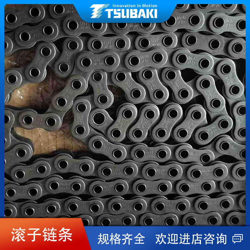 原装日本TSUBAKI链条RS80HP-1空心销椿本精密输送机滚珠高效传动