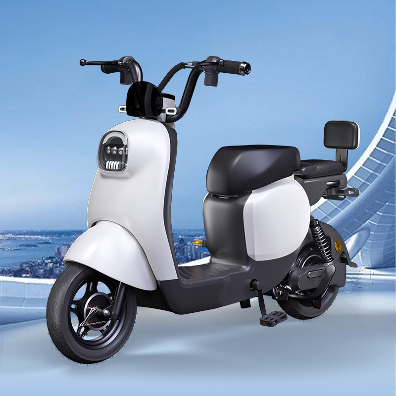 23 nuevo coche eléctrico estándar nacional hombres y mujeres tortuga motocicleta eléctrica de litio antirrobo doble Xingyue bicicleta eléctrica al por mayor