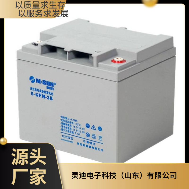 M.SUN美阳保障在线式蓄电池6-GFM-24 12V24AH