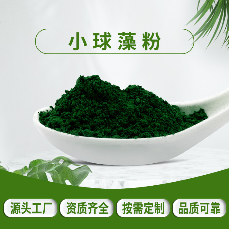 Chlorella Powder, 60% Protein, Sc in Stock with Free Shipping, Protein-Rich Chlorella