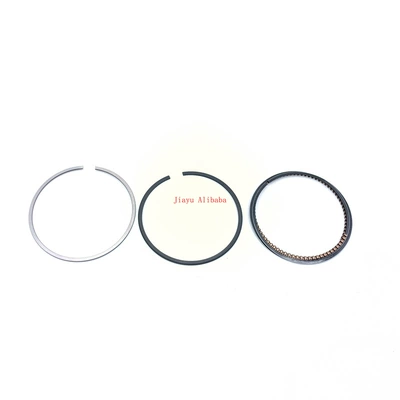 W11B16A 1.6t 11257520133, Piston, piston ring, piston pin