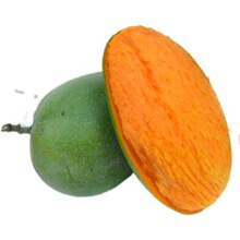 ��֦��Ҭ��â�u��âС��