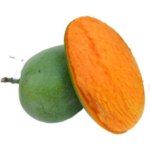 ��֦��Ҭ��â�u��âС��