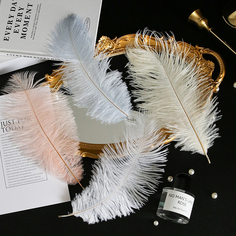 羽毛南非鸵鸟毛装饰插花羽毛花束搭配花盒DIY配件羽绒毛花艺配件