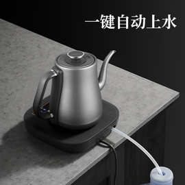 全自动家用食品级纯钛电热水壶专用抑菌智能烧水壶TF-2024B1