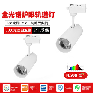 Full Spectrum Spotlight Cob Track Light Shop Commercial Household Clothing Boutique Surface-Mounted Wall Track Spotlight