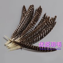 火鸡刀翎 火鸡羽毛 印第安头饰羽毛  箭羽花羽 野鸡羽毛