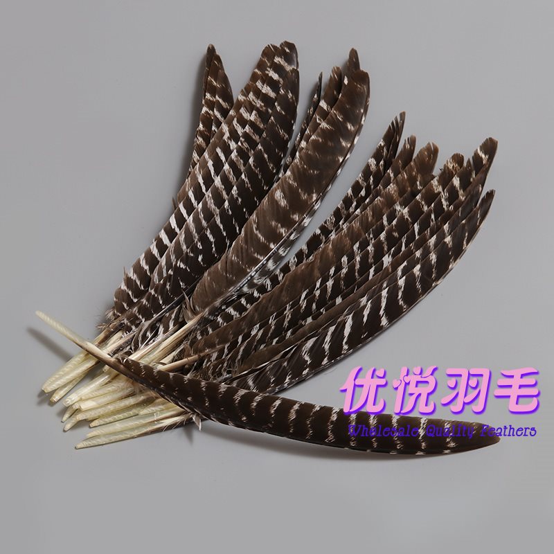 火鸡刀翎 火鸡羽毛 印第安头饰羽毛  箭羽花羽 野鸡羽毛