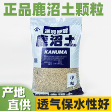 ��Ʒ���l¹�������ԷNֲ�I�Bʿ��������m��ʿ�w�����|����¹��ʿ