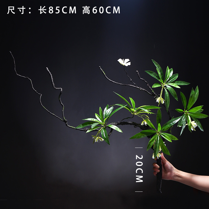 큰 물줄기 ficus-fold