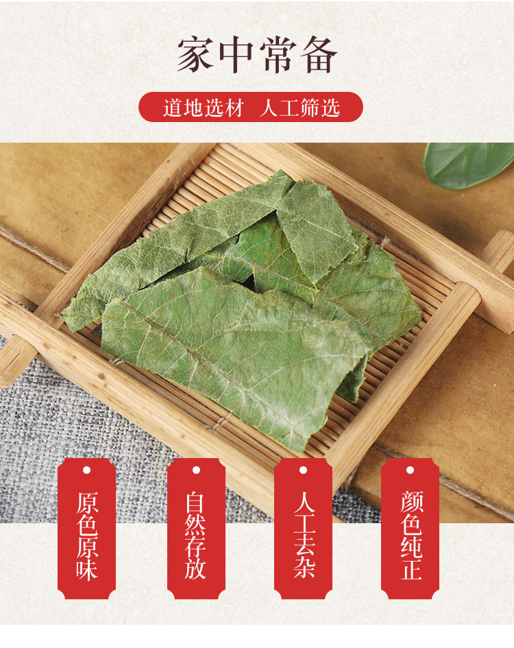 Wild Loquat Leaf Pi Pa Ye 500g Dried Eriobotrya japonica Folium for Traditional Herbal Tea and Decoction overview