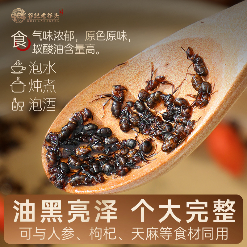 Changbai Mountain Black Ant Dried Whole Ants Traditional Herbal Use 170g quality and texture