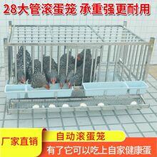 �¿�P䓝L���\�ԄӝL���u�\���õ��u�\�u�C���u�Ե��u�\�Ӽ���