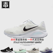 Ʒ͌ajЬstructure26ŮЬzoom¾W͸＃ԭ^