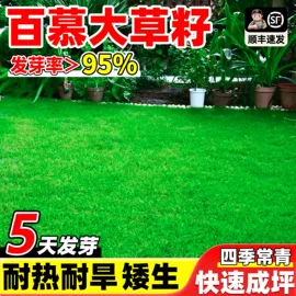 盆栽;园林果树;灌木