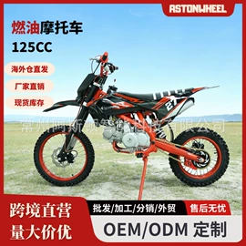 其他摩托车;沙滩车;其他电动车