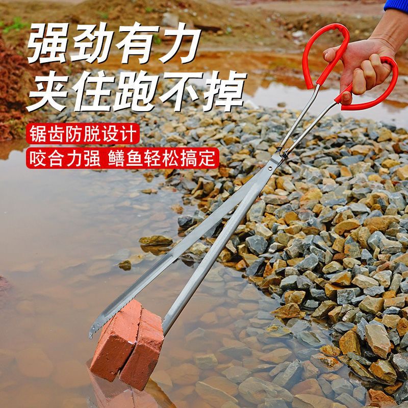 Stainless Steel Thickened Monopterus Albus Clip Anti-Slip Clip Loach Pliers Fish Control Capture Crayfish Crab Tool