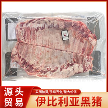 港口直销 进口冷冻伊比利亚黑猪肋排真空包装黑毛猪排骨冻猪排骨