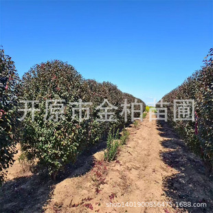 �t�~���~÷���ͺ��ذ����~÷���煲������ͥԺ�^�p�辰���~÷��