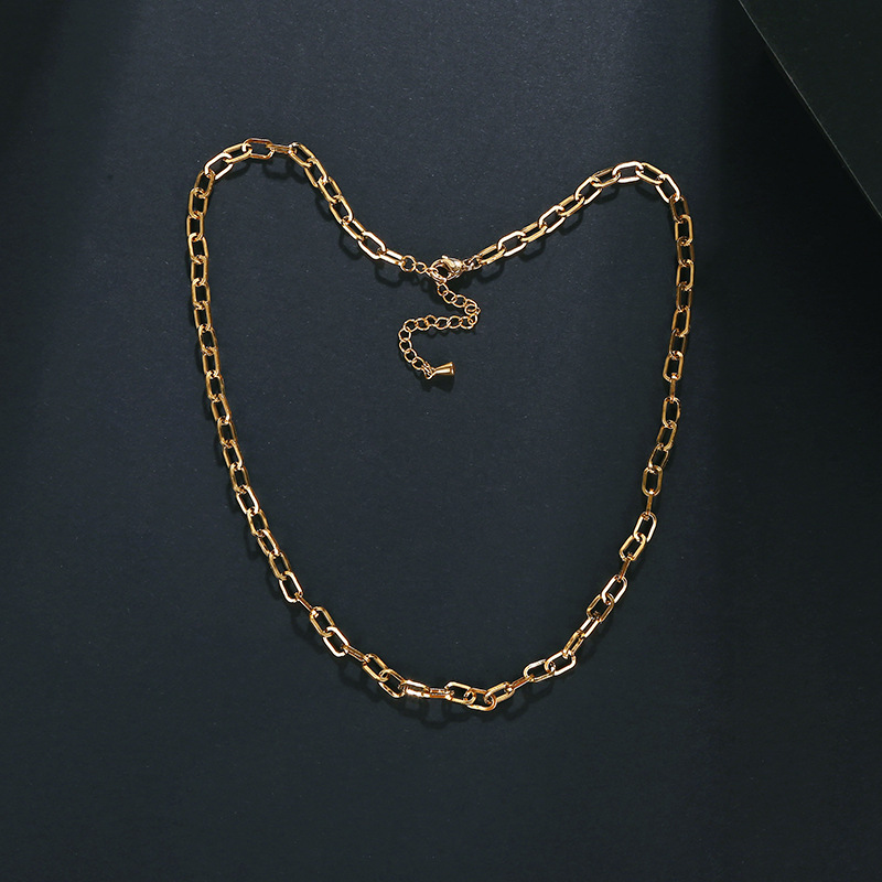 Einfacher Stil Einfarbig Rostfreier Stahl Überzug Kette Halskette display picture 3