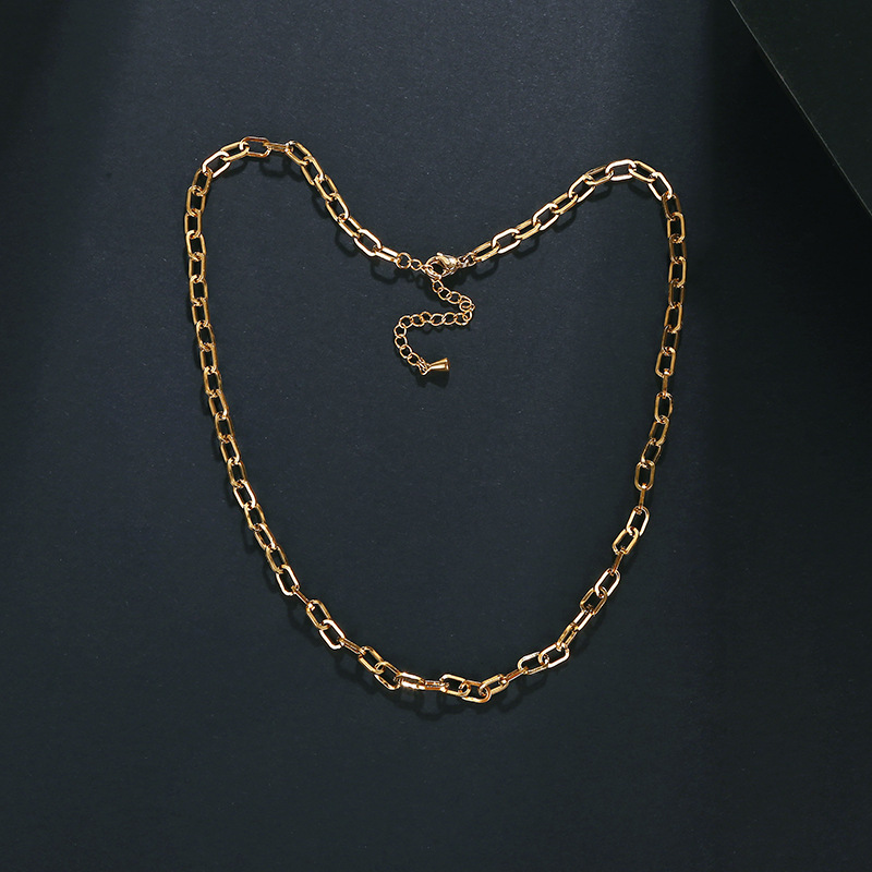 Stainless Steel Material Solid Color Pattern Simple Style Solid Color Stainless Steel Plating Chain Necklace