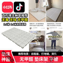 垫床防潮神器打地铺榻榻米床架平替床垫隔板地台床物流垫板排骨架