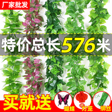 GֲٗlbٻG~ړܵ~~