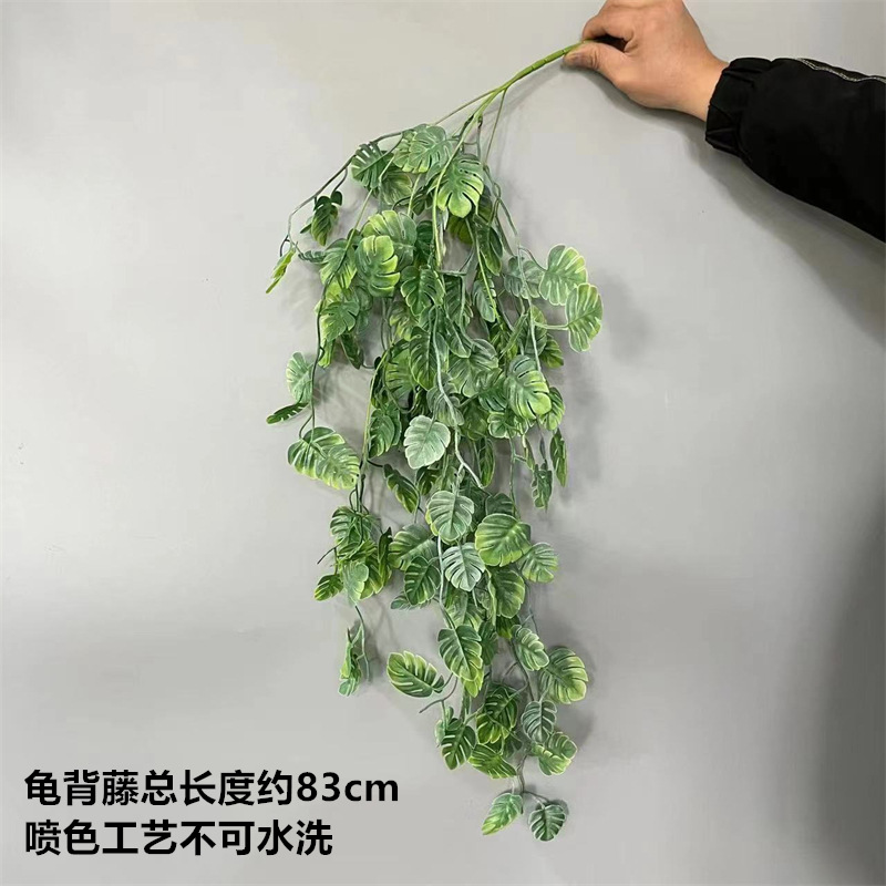 흰색과 녹색